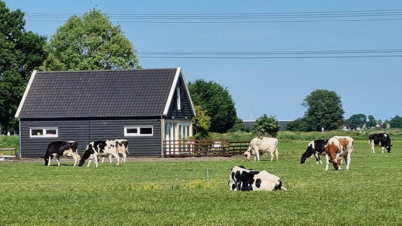City Farmers Lodge, A Guesthouse With A Skyline View In Rural Amsterdam Exterior photo